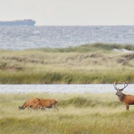 Fewo-Kramm Ostseebad オストゼーバート・ディアーハーゲン エクステリア 写真